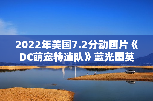 2022年美国7.2分动画片《DC萌宠特遣队》蓝光国英双语双字 2022年美国7.2分动画片《DC萌宠特遣队》蓝光国英双语双字
