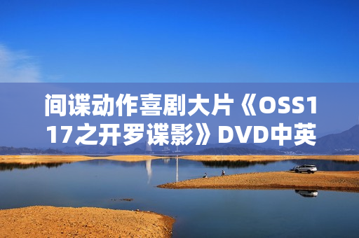 间谍动作喜剧大片《OSS117之开罗谍影》DVD中英双字