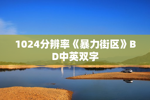 1024分辨率《暴力街区》BD中英双字