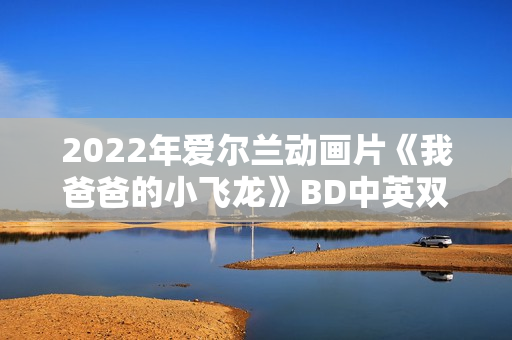 2022年爱尔兰动画片《我爸爸的小飞龙》BD中英双字 2022年爱尔兰动画片《我爸爸的小飞龙》BD中英双字