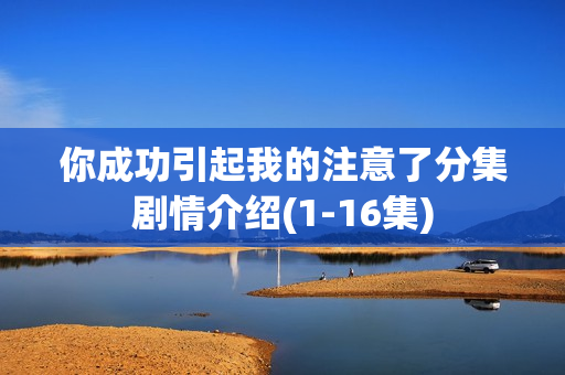 你成功引起我的注意了分集剧情介绍(1-16集) 你成功引起我的注意了分集剧情介绍(1-16集)