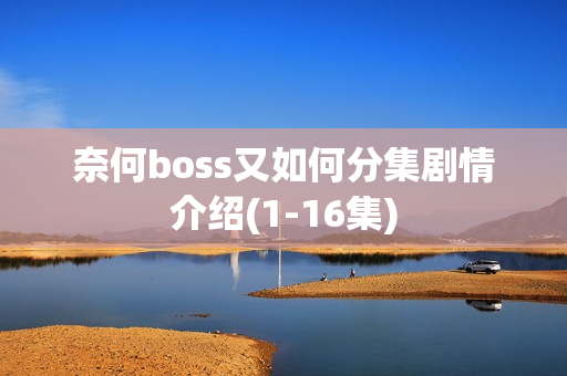 奈何boss又如何分集剧情介绍(1-16集) 奈何boss又如何分集剧情介绍(1-16集)