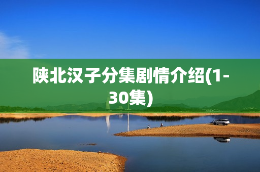 陕北汉子分集剧情介绍(1-30集) 陕北汉子分集剧情介绍(1-30集)