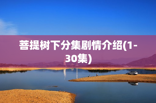 菩提树下分集剧情介绍(1-30集)