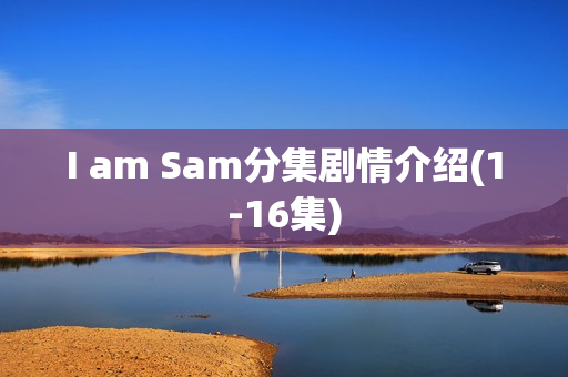 I am Sam分集剧情介绍(1-16集)