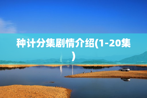 种计分集剧情介绍(1-20集)