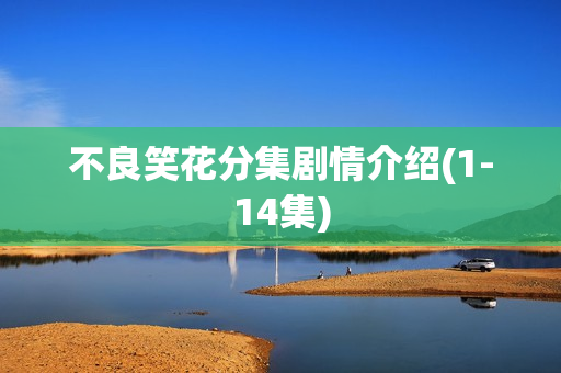 不良笑花分集剧情介绍(1-14集)