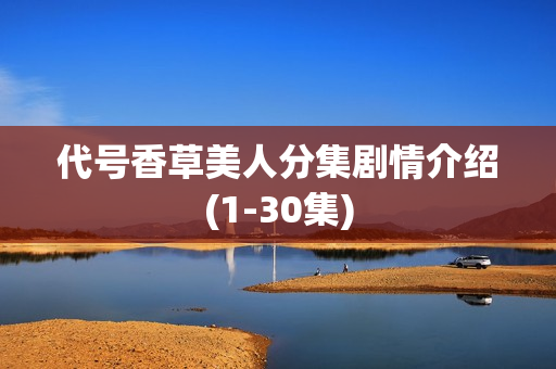 代号香草美人分集剧情介绍(1-30集)