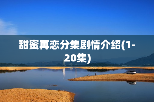 甜蜜再恋分集剧情介绍(1-20集)