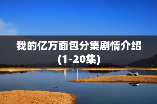 我的亿万面包分集剧情介绍(1-20集)