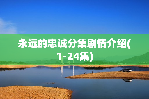 永远的忠诚分集剧情介绍(1-24集)
