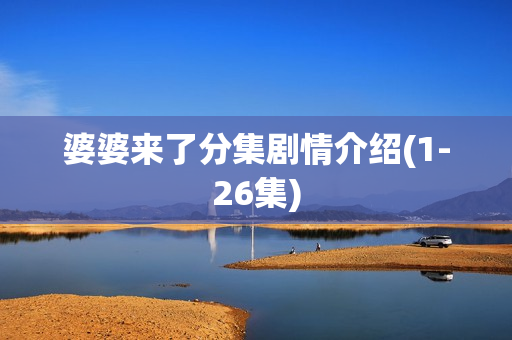 婆婆来了分集剧情介绍(1-26集)