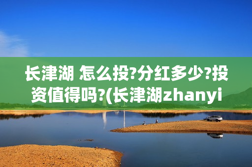 长津湖 怎么投?分红多少?投资值得吗?(长津湖zhanyi)