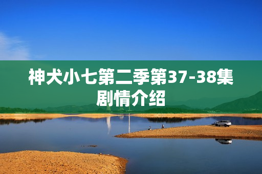 神犬小七第二季第37-38集剧情介绍 神犬小七第二季第37-38集剧情介绍