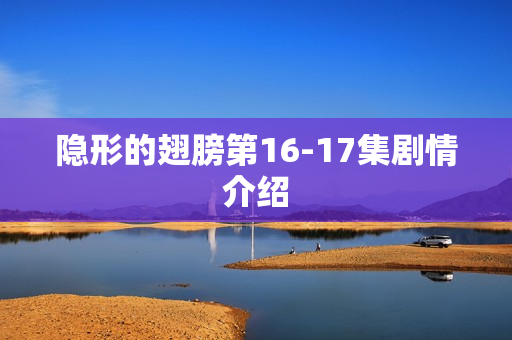 隐形的翅膀第16-17集剧情介绍