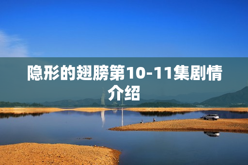 隐形的翅膀第10-11集剧情介绍