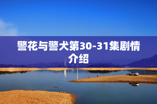 警花与警犬第30-31集剧情介绍 警花与警犬第30-31集剧情介绍