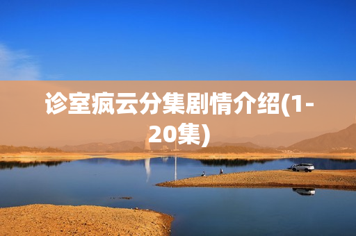诊室疯云分集剧情介绍(1-20集)