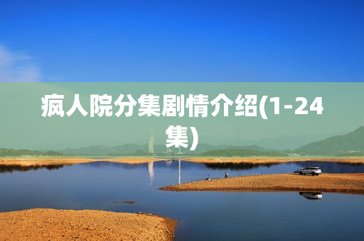 疯人院分集剧情介绍(1-24集)