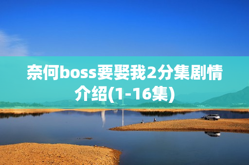 奈何boss要娶我2分集剧情介绍(1-16集)