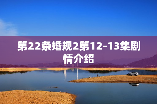第22条婚规2第12-13集剧情介绍 第22条婚规2第12-13集剧情介绍