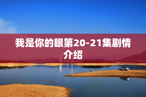 我是你的眼第20-21集剧情介绍