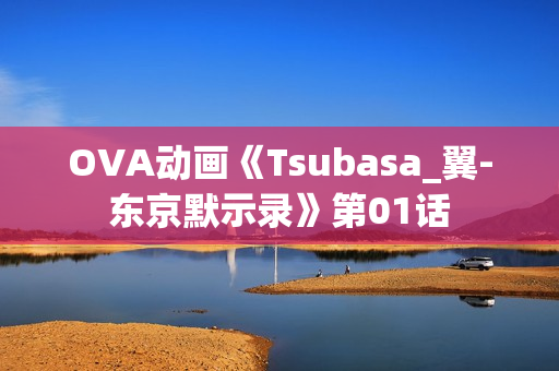 OVA动画《Tsubasa_翼-东京默示录》第01话