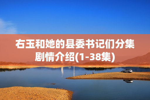 右玉和她的县委书记们分集剧情介绍(1-38集)