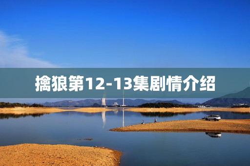 擒狼第12-13集剧情介绍