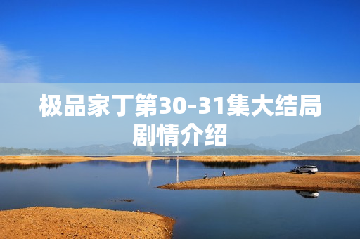 极品家丁第30-31集大结局剧情介绍
