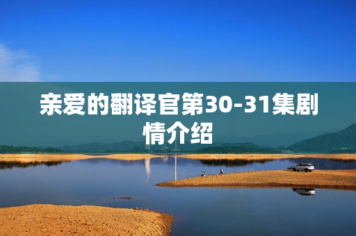 亲爱的翻译官第30-31集剧情介绍