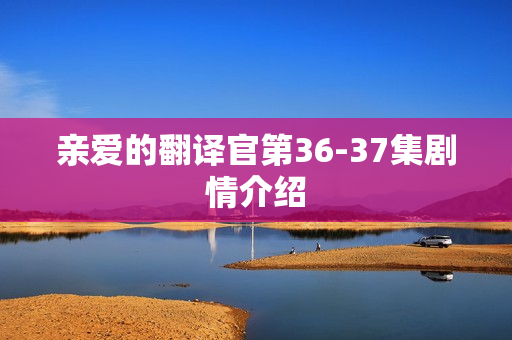 亲爱的翻译官第36-37集剧情介绍