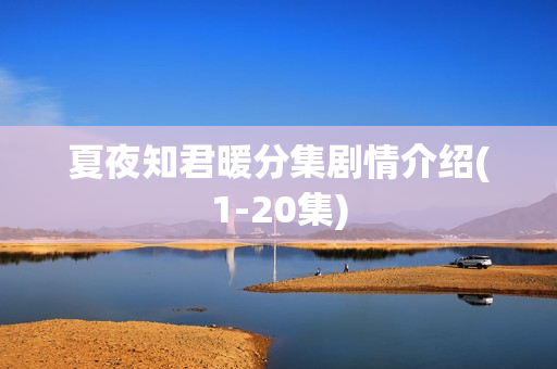 夏夜知君暖分集剧情介绍(1-20集)