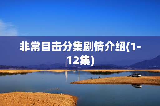 非常目击分集剧情介绍(1-12集) 非常目击分集剧情介绍(1-12集)