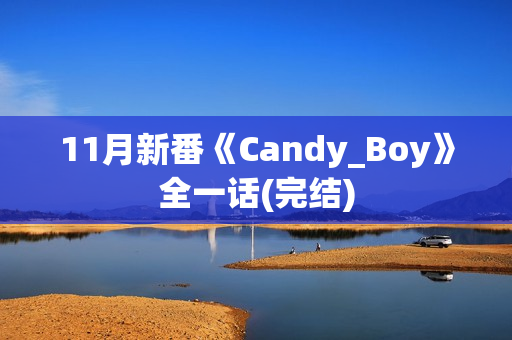 11月新番《Candy_Boy》全一话(完结)