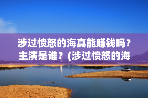 涉过愤怒的海真能赚钱吗？主演是谁？(涉过愤怒的海 海报)