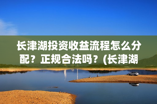 长津湖投资收益流程怎么分配？正规合法吗？(长津湖投资回报)