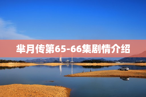 芈月传第65-66集剧情介绍