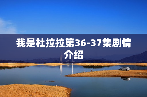 我是杜拉拉第36-37集剧情介绍