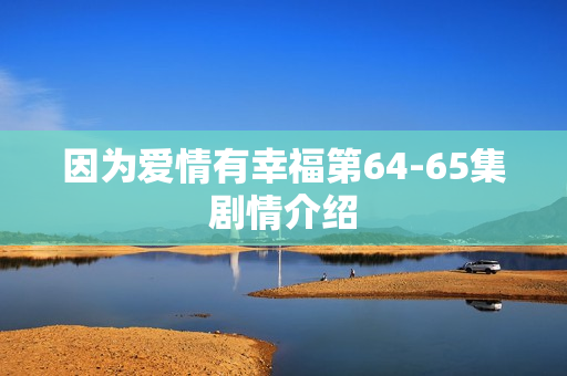 因为爱情有幸福第64-65集剧情介绍