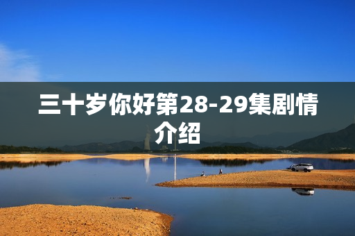 三十岁你好第28-29集剧情介绍
