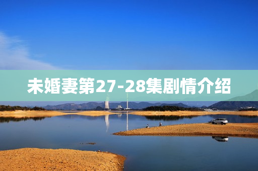 未婚妻第27-28集剧情介绍