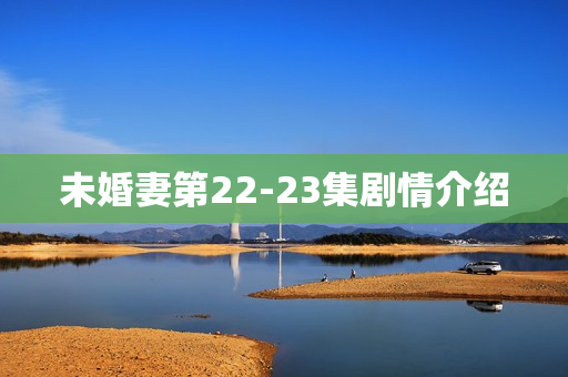 未婚妻第22-23集剧情介绍