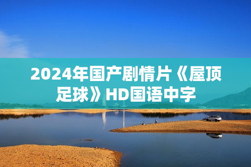 2024年国产剧情片《屋顶足球》HD国语中字