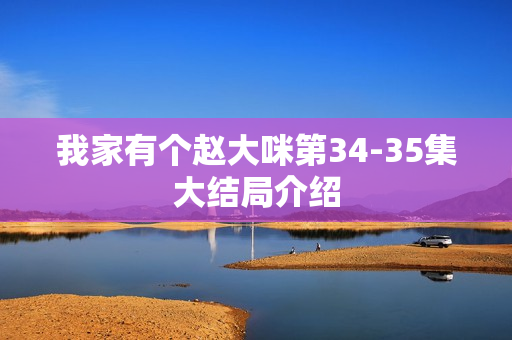 我家有个赵大咪第34-35集大结局介绍