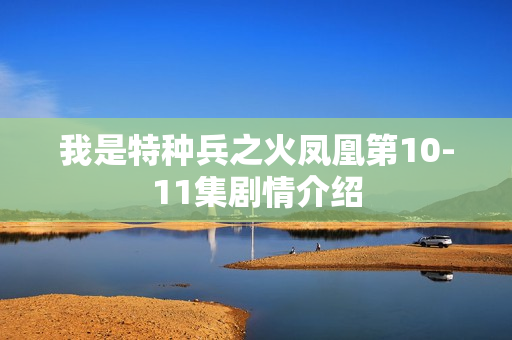 我是特种兵之火凤凰第10-11集剧情介绍