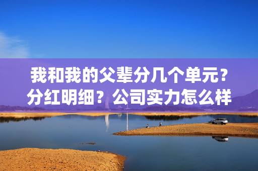 我和我的父辈分几个单元？分红明细？公司实力怎么样？(我和我的父辈分为哪几个篇章)