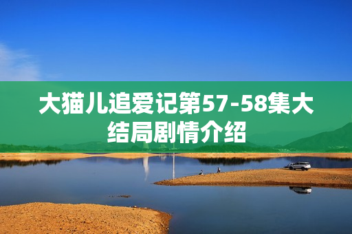 大猫儿追爱记第57-58集大结局剧情介绍