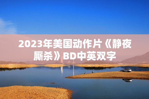 2023年美国动作片《静夜厮杀》BD中英双字
