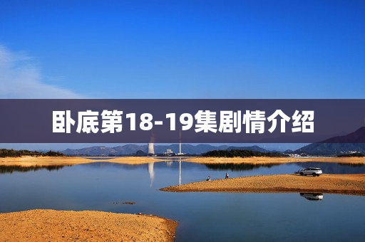 卧底第18-19集剧情介绍